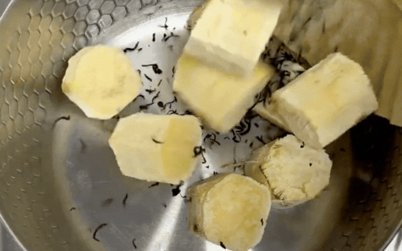 C&ocirc;ng thức tr&agrave; m&iacute;a nướng đơn giản &ldquo; dưỡng nhan &rdquo; ai cũng y&ecirc;u th&iacute;ch năm 2026 - Ảnh 4.