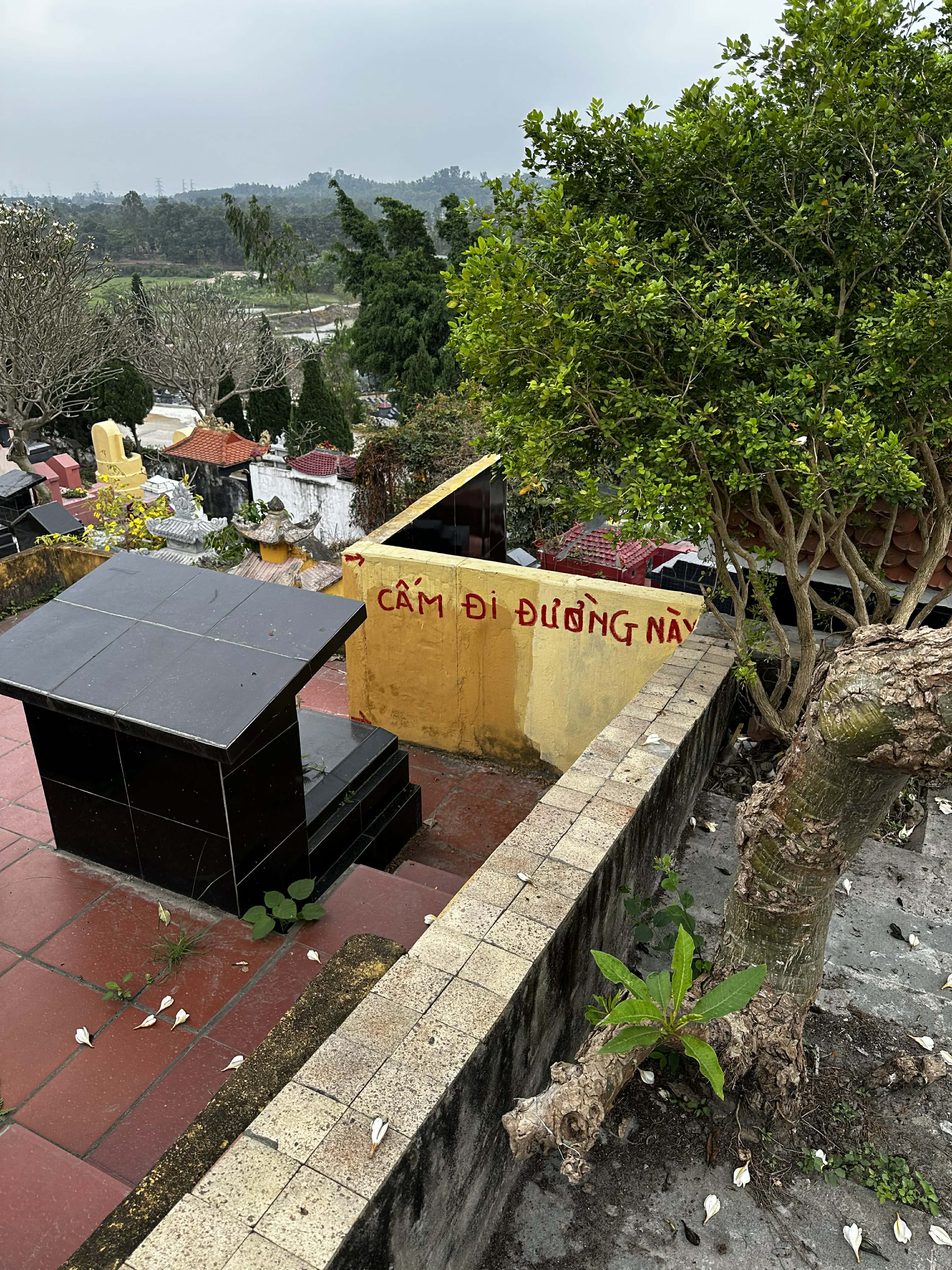 Tìm mộ tổ tiên như lạc vào mê cung: Những câu chuyện Bi hài từ nghĩa trang quê năm 2026 - Ảnh 1. Tìm mộ tổ tiên như lạc vào mê cung: Những câu chuyện Bi hài từ nghĩa trang quê năm 2026 - Ảnh 1.