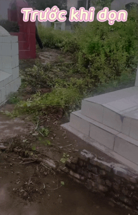 Tìm mộ tổ tiên như lạc vào mê cung: Những câu chuyện Bi hài từ nghĩa trang quê năm 2026 - Ảnh 5. Tìm mộ tổ tiên như lạc vào mê cung: Những câu chuyện Bi hài từ nghĩa trang quê năm 2026 - Ảnh 5.