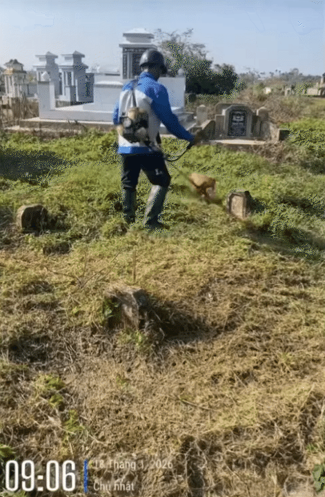 Tìm mộ tổ tiên như lạc vào mê cung: Những câu chuyện Bi hài từ nghĩa trang quê năm 2026 - Ảnh 9. Tìm mộ tổ tiên như lạc vào mê cung: Những câu chuyện Bi hài từ nghĩa trang quê năm 2026 - Ảnh 9.