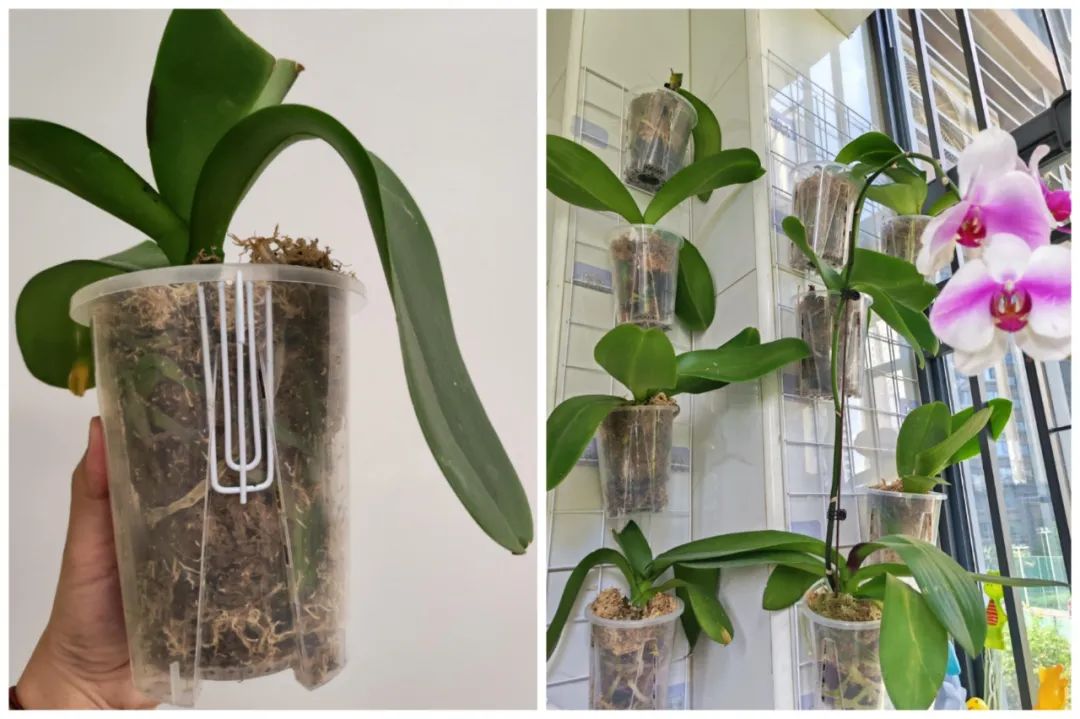 D&ugrave;ng đồ gia dụng &ldquo;ngược lại&rdquo;, t&ocirc;i tiết kiệm được gần một nửa chi ph&iacute; mua sắm trong nh&agrave; - Ảnh 6.