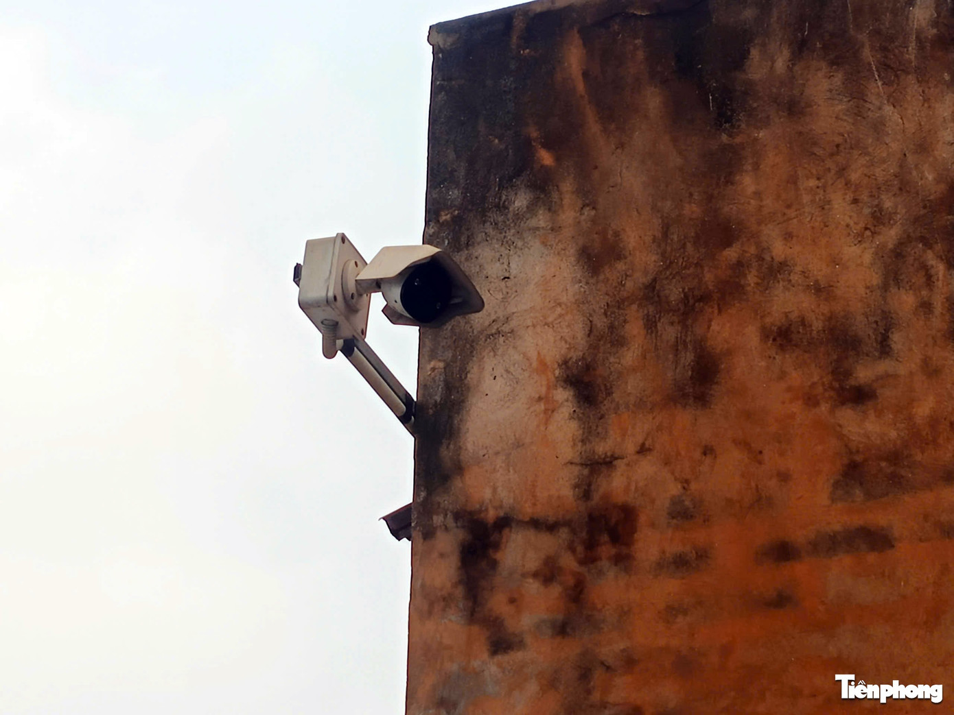 C&ocirc;ng ty thực phẩm Cường Ph&aacute;t cung cấp thịt lợn nhiễm dịch tả lợn Ch&acirc;u Phi v&agrave;o trường học - Ảnh 3.