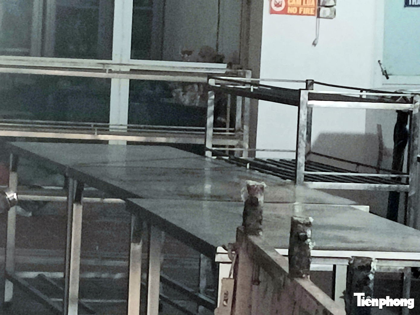 C&ocirc;ng ty thực phẩm Cường Ph&aacute;t cung cấp thịt lợn nhiễm dịch tả lợn Ch&acirc;u Phi v&agrave;o trường học - Ảnh 8.