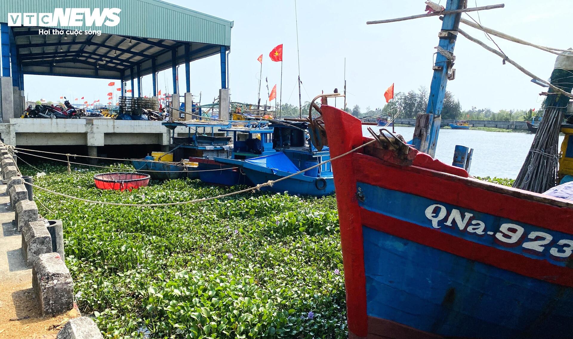 Cảng c&aacute; Hồng Triều 120 tỷ đồng x&acirc;y xong nhưng kh&ocirc;ng hoạt động , ngư d&acirc;n chờ đợi - Ảnh 7.