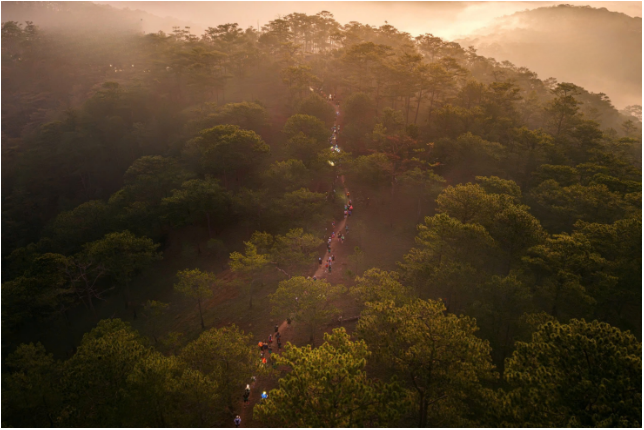 Những chiến binh giữa rừng già Lang Biang - Ảnh 1. Những chiến binh giữa rừng già Lang Biang - Ảnh 1.