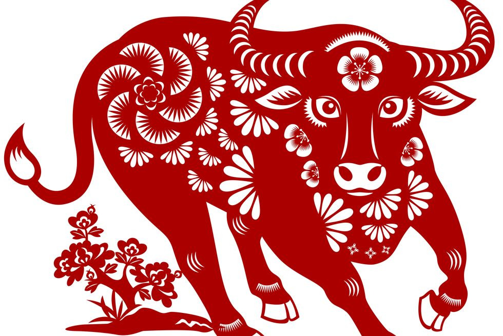 Từ th&aacute;ng 2 &acirc;m lịch: 4 con gi&aacute;p được người th&acirc;n n&acirc;ng đỡ, t&agrave;i ch&iacute;nh gia đ&igrave;nh dần phục hồi v&agrave; ổn định - Ảnh 2.