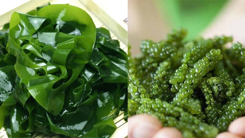 Nếu kh&ocirc;ng giải độc v&agrave;o m&ugrave;a xu&acirc;n, cơ thể bạn sẽ bị tắc nghẽn trong một năm: Đầu xu&acirc;n ăn th&ecirc;m 4 m&oacute;n để l&agrave;m sạch ruột v&agrave; giải độc, bổ gan - Ảnh 3.