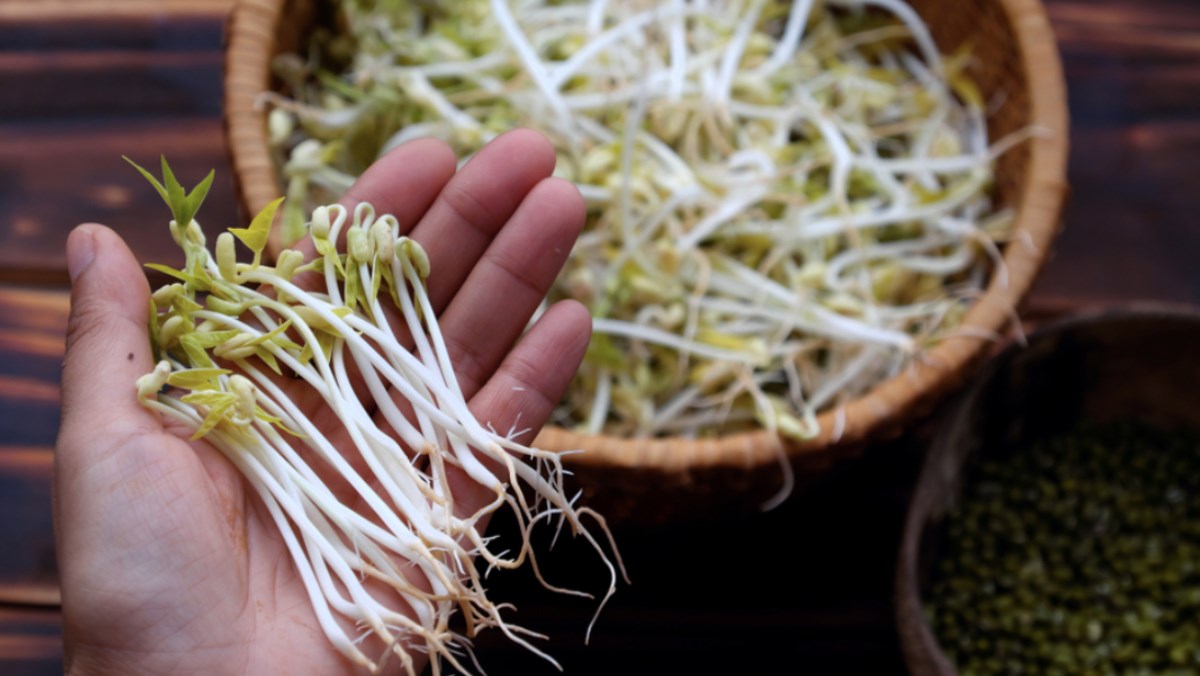 Nếu kh&ocirc;ng giải độc v&agrave;o m&ugrave;a xu&acirc;n, cơ thể bạn sẽ bị tắc nghẽn trong một năm: Đầu xu&acirc;n ăn th&ecirc;m 4 m&oacute;n để l&agrave;m sạch ruột v&agrave; giải độc, bổ gan - Ảnh 2.