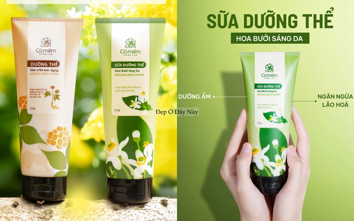 Sữa dưỡng thể 