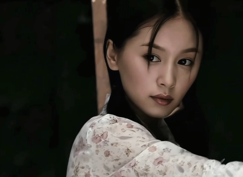 Cặp đ&ocirc;i Lưu Ch&iacute; Cương Vương Tử Văn v&agrave; sức h&uacute;t kh&ocirc;ng thể qu&ecirc;n sau 20 năm - Ảnh 1.