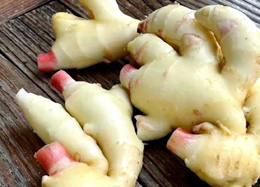 Đi chợ thấy 7 loại rau n&agrave;y phải mua ngay, cực &iacute;t thuốc trừ s&acirc;u, gi&aacute; bao nhi&ecirc;u cũng đ&aacute;ng tiền - Ảnh 2.