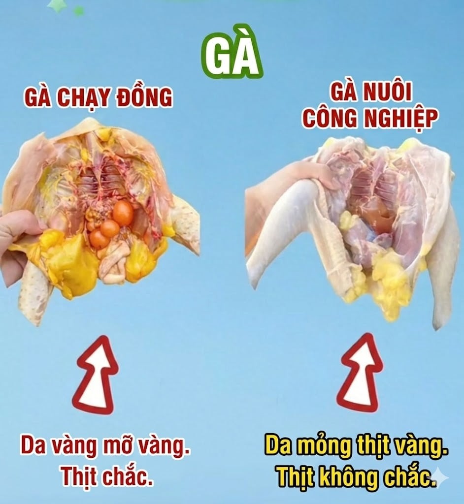 Khi mua thịt, h&atilde;y l&agrave;m theo hướng dẫn trong h&igrave;nh để tr&aacute;nh mắc sai lầm - Ảnh 1.