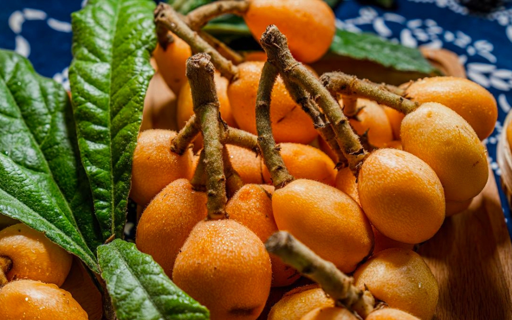 Sau 30 tuổi, phụ nữ chăm ăn 6 m&oacute;n gi&agrave;u collagen n&agrave;y thường 