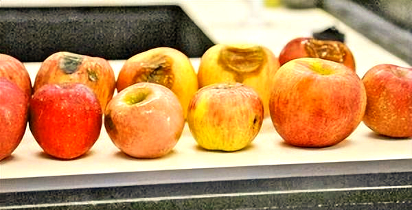 Cơ thể bỗng xuất hiện 4 m&ugrave;i n&agrave;y: Đừng vội bỏ qua, c&oacute; thể l&agrave; lời cảnh b&aacute;o của gan, thận, dạ d&agrave;y - Ảnh 2.