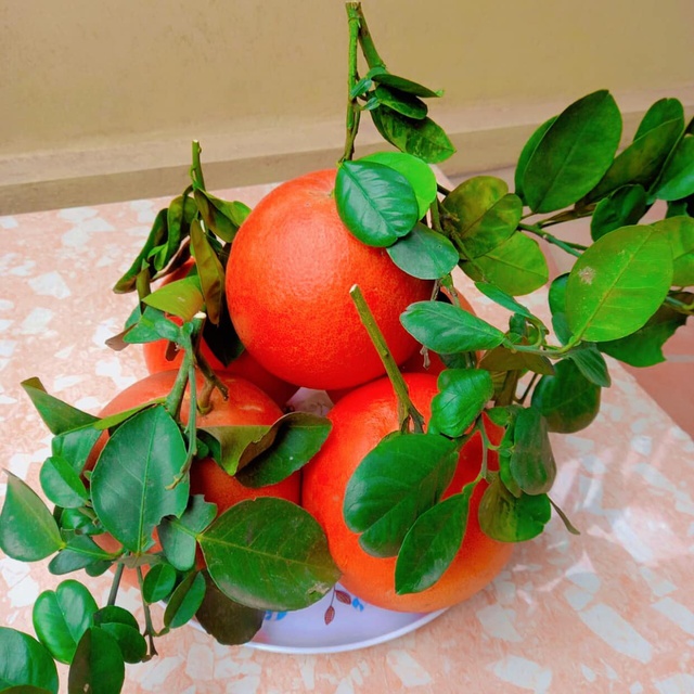 Đặt tr&aacute;i c&acirc;y b&agrave;n thờ: 4 N&Ecirc;N - 3 KH&Ocirc;NG để cầu b&igrave;nh an, tr&aacute;nh xui xẻo- Ảnh 2.