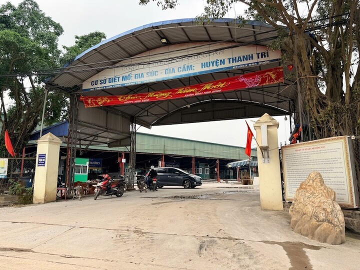 Vụ 300 tấn lợn bệnh tuồn v&agrave;o bếp ăn trường học g&acirc;y chấn động x&atilde; hội 2026 - Ảnh 1.