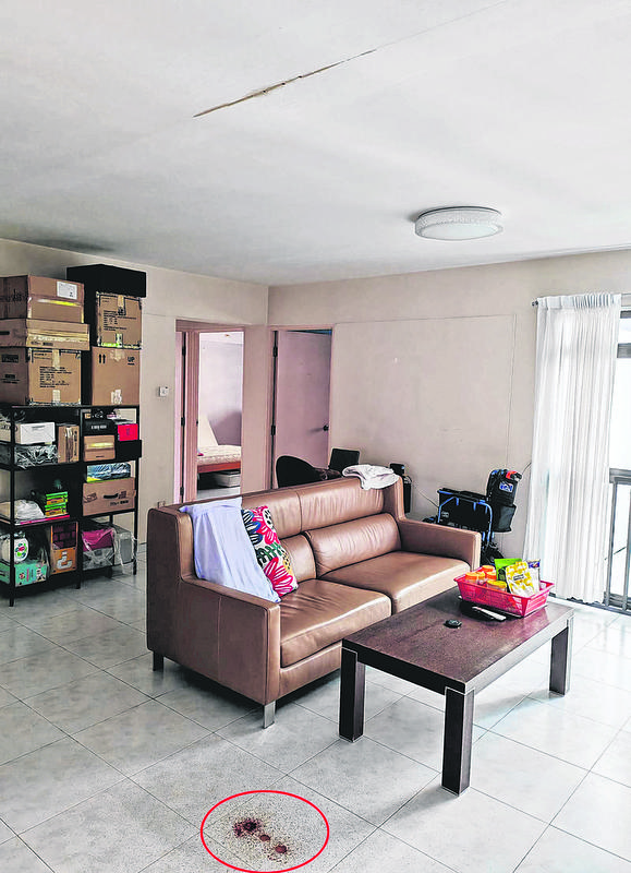 Ph&aacute;t hiện cha con tử vong trong căn hộ Singapore: Chi tiết bất thường về thi thể người con - Ảnh 1.