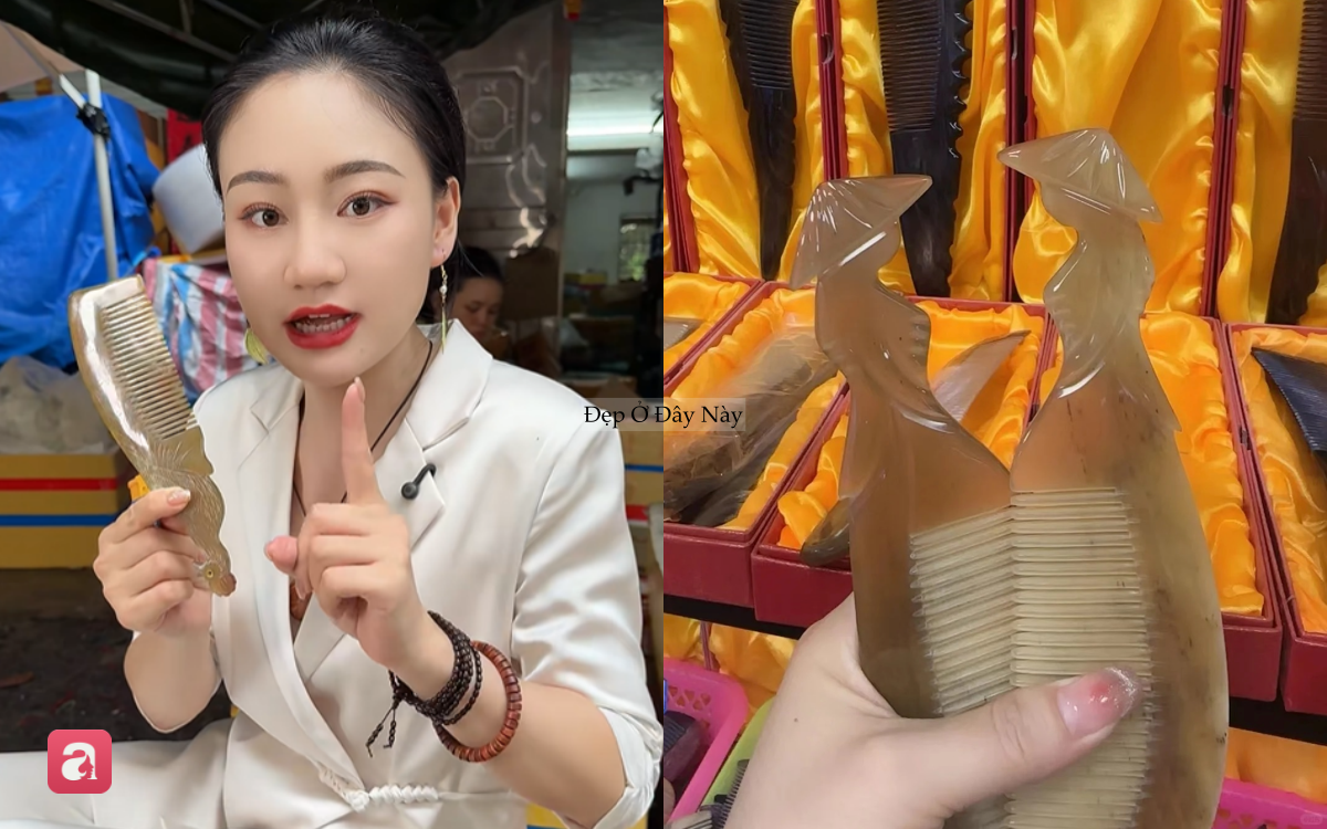 Việt Nam c&oacute; loại 