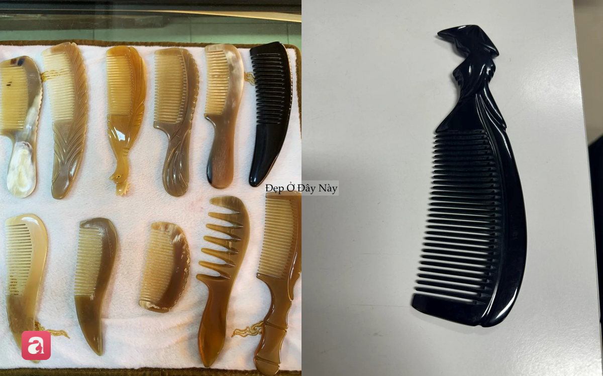 Việt Nam c&oacute; loại 