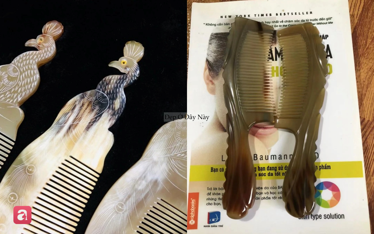 Việt Nam c&oacute; loại 