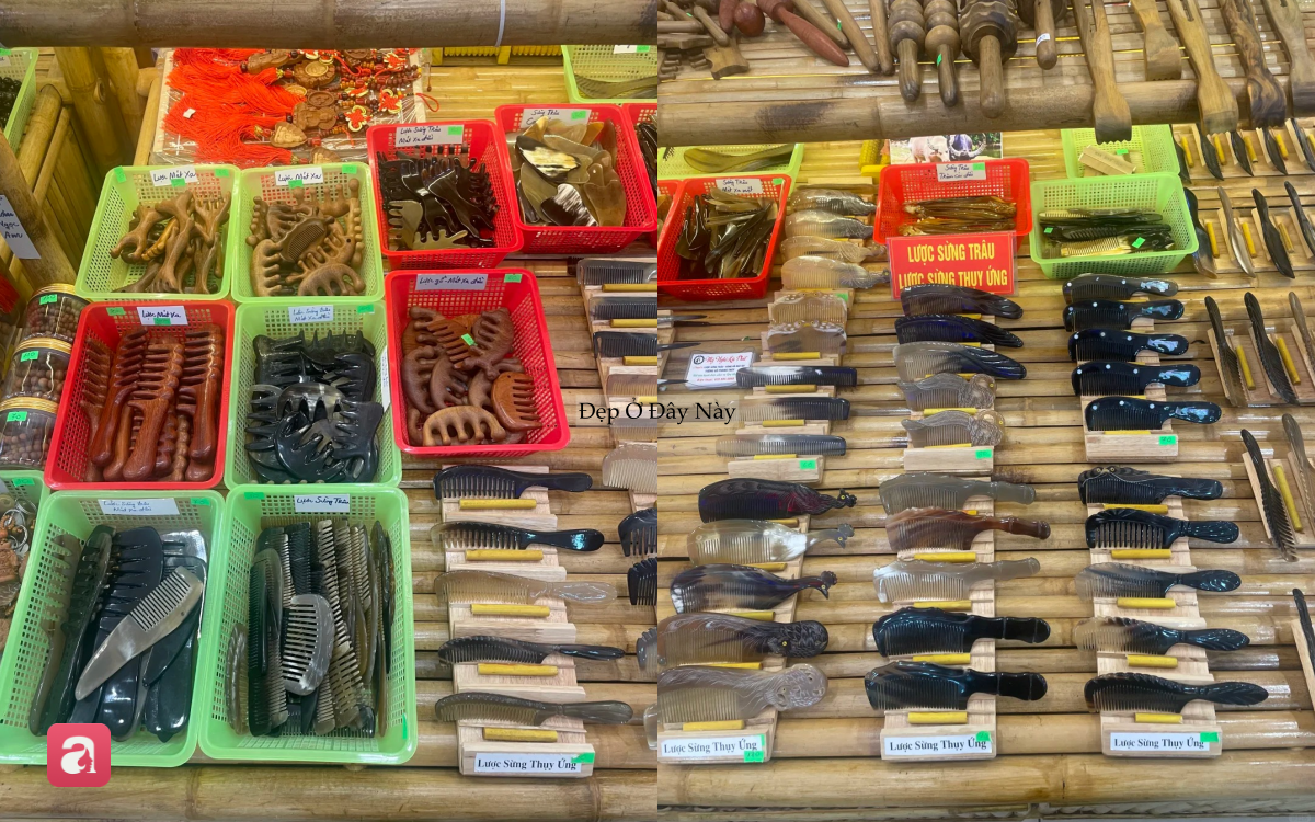 Việt Nam c&oacute; loại 