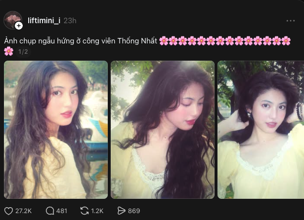 Hơn 27 nghìn người thả tim cho bức ảnh chụp vội ở công viên Thống Nhất - Ảnh 4.