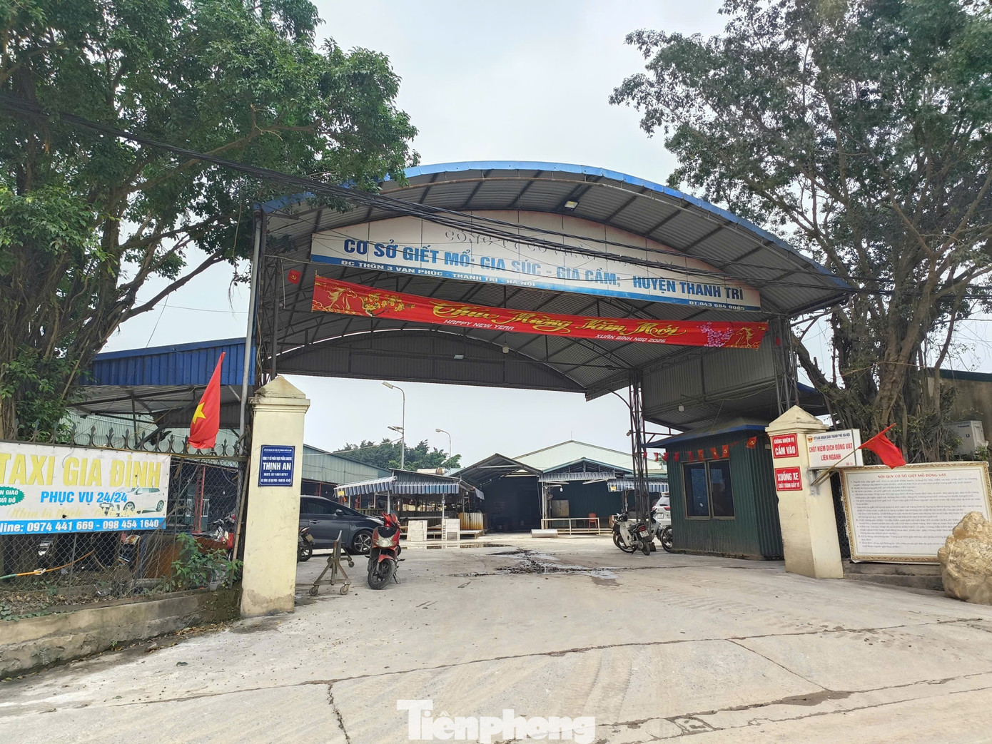 Vụ ti&ecirc;u thụ lợn bệnh ở H&agrave; Nội: Điều tra đường d&acirc;y giết mổ kh&ocirc;ng an to&agrave;n thực phẩm - Ảnh 1.