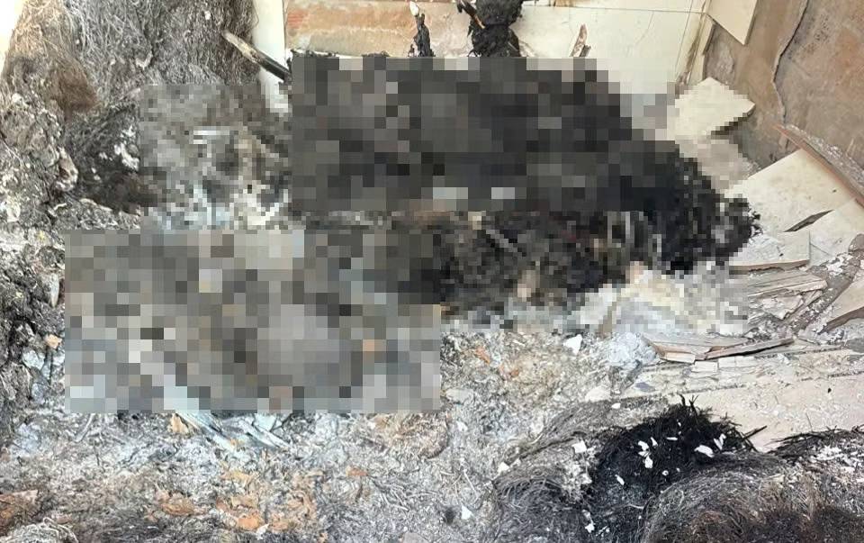 Vụ ph&aacute;t hiện 4 thi thể ch&aacute;y x&eacute;m ở Gia Lai: Điều tra nguy&ecirc;n nh&acirc;n g&acirc;y nổ - Ảnh 4.