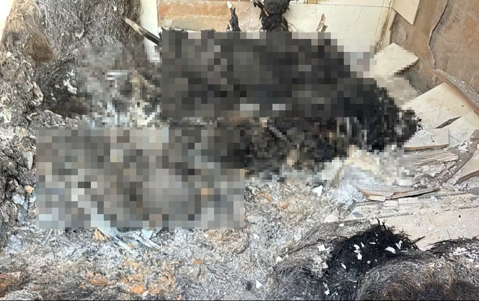 Vụ 4 người trong gia đ&igrave;nh chết bất thường ở Gia Lai: Điều tra nguy&ecirc;n nh&acirc;n thảm khốc - Ảnh 1.