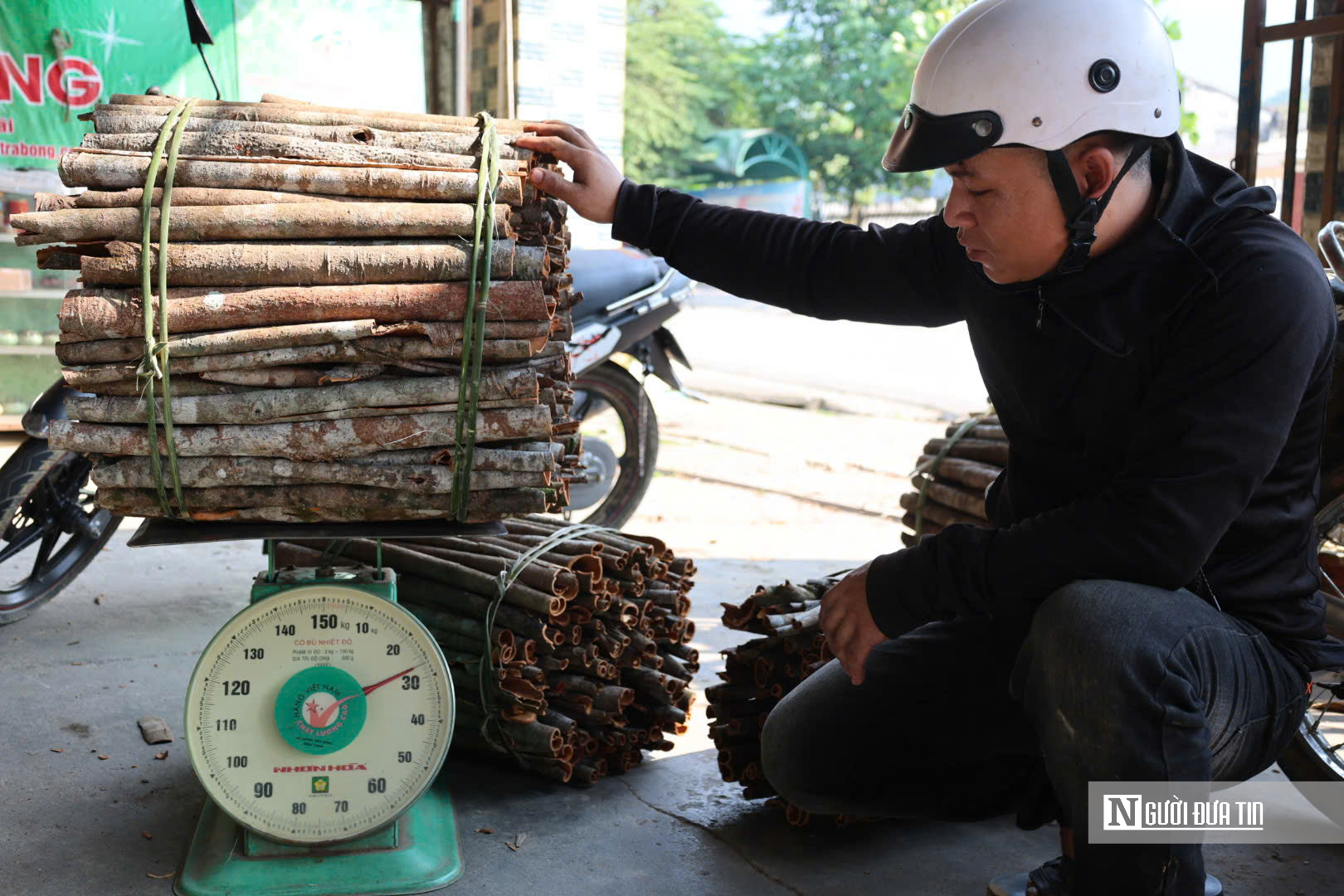 Đ&oacute;n lộc rừng: Quế Tr&agrave; Bồng Quảng Ng&atilde;i mang lại gi&aacute; trị kinh tế bền vững năm 2026 - Ảnh 7.