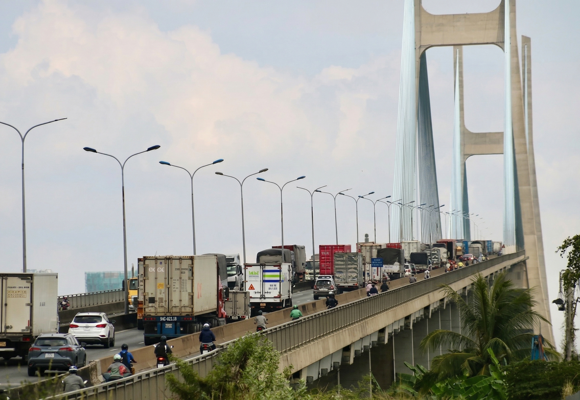 Thi thể sinh viên TPHCM mất tích được tìm thấy dưới chân cầu Phú Mỹ - Ảnh 1. Thi thể sinh viên TPHCM mất tích được tìm thấy dưới chân cầu Phú Mỹ - Ảnh 1.