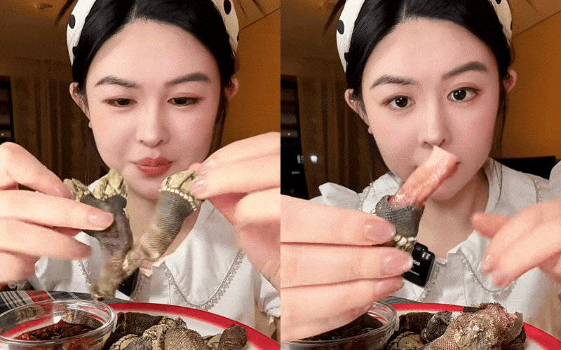 Ốc ng&oacute;n tay qủy: Mỹ vị biển khơi đầy thử th&aacute;ch Tại Việt Nam năm 2026 - Ảnh 15.