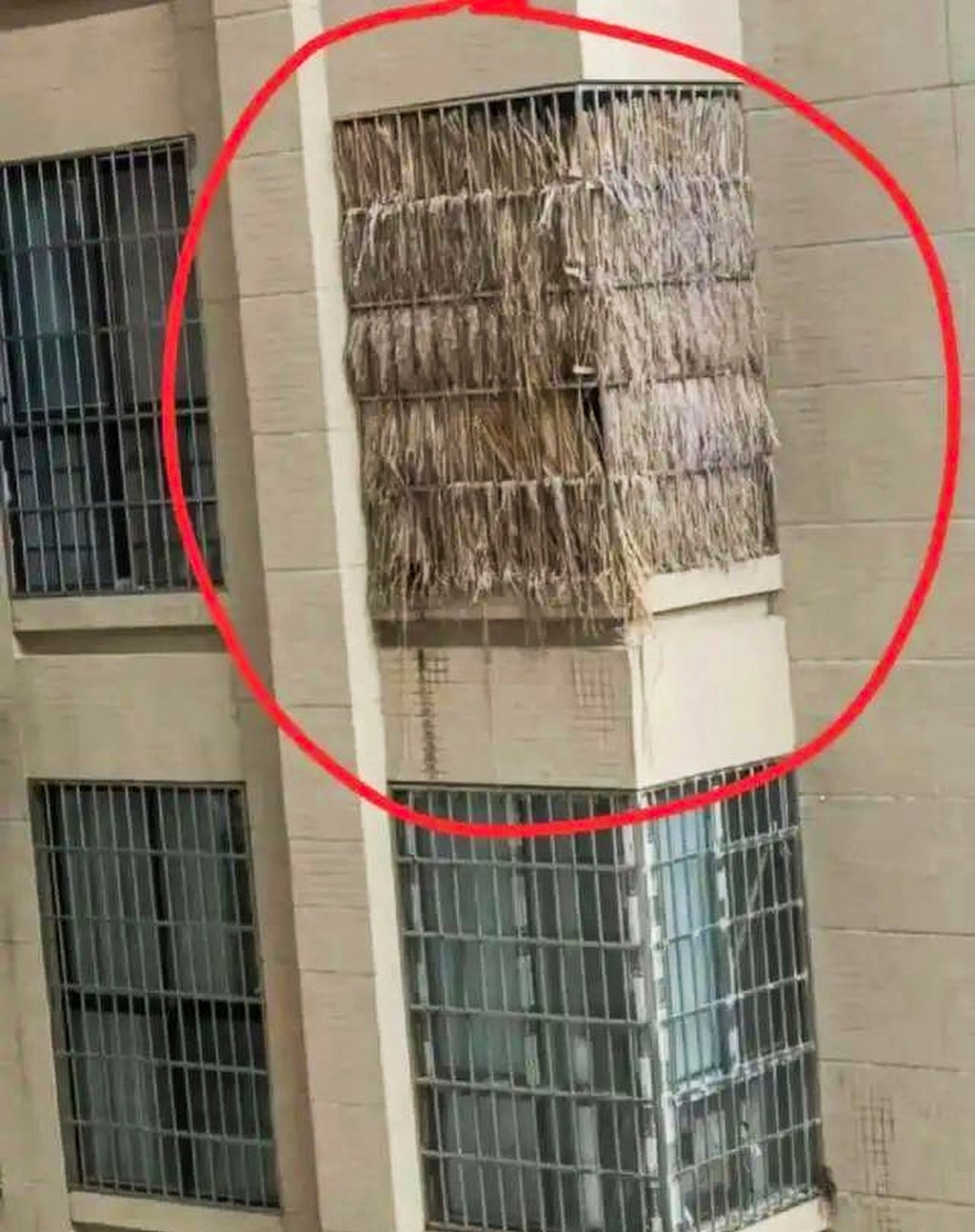 Người d&acirc;n Trung Quốc mua chung cư chứa tro cốt v&igrave; gi&aacute; đất nghĩa trang qu&aacute; cao - Ảnh 3.