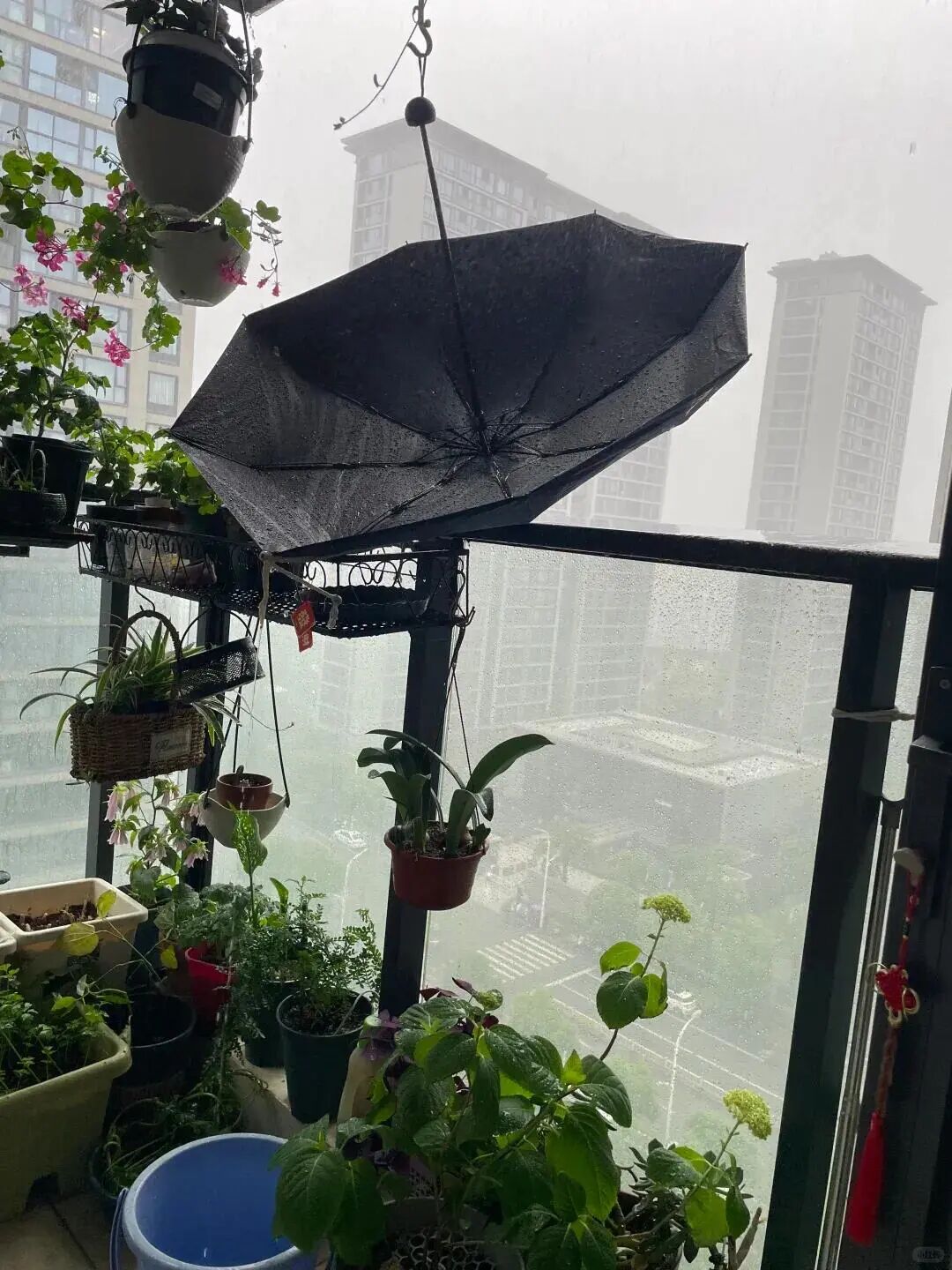 Sau 1 năm d&ugrave;ng ban c&ocirc;ng mở, t&ocirc;i hiểu v&igrave; sao nhiều người muốn đ&oacute;ng lại - Ảnh 4.