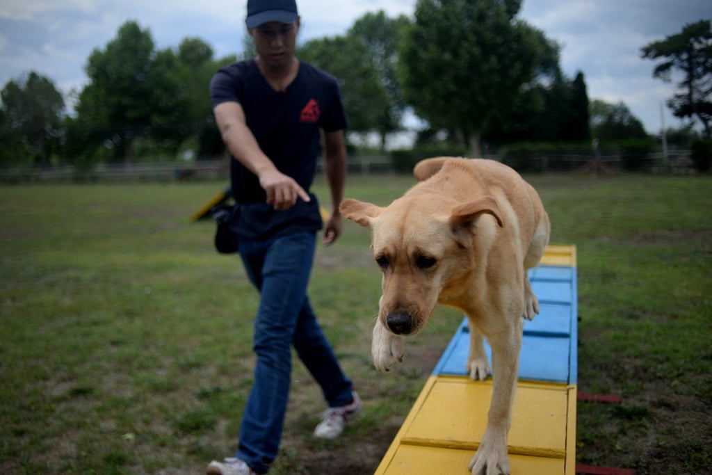 C&ocirc; g&aacute;i Thượng Hải chi 46 triệu đồng mỗi th&aacute;ng cho trường mẫu gi&aacute;o ch&oacute; sang trọng - Ảnh 2.