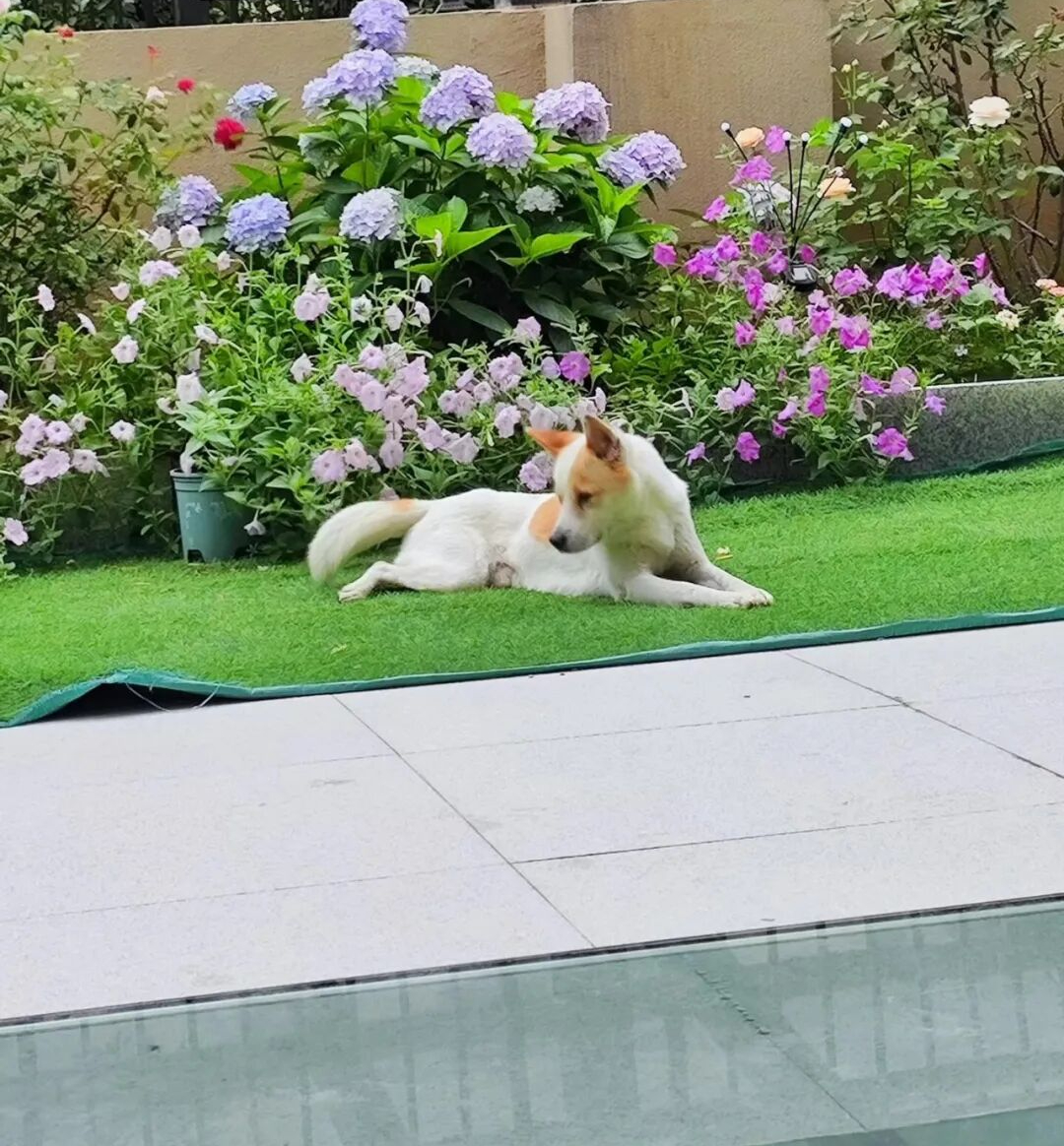 Tôi mua căn hộ tầng trệt có tầng hầm vì tưởng “lời gấp đôi” - 2 năm sau muốn bán lỗ cũng không ai mua - Ảnh 5.