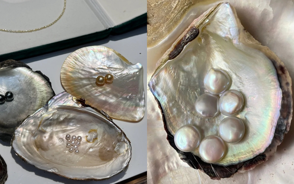 T&uacute;i khảm x&agrave; cừ 