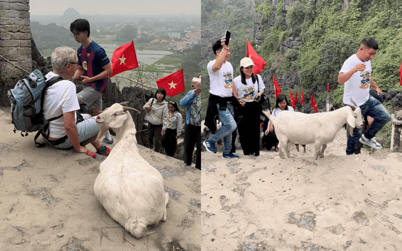 Trải nghiệm độc đ&aacute;o tại Hang M&uacute;a: Gặp gỡ đại sứ du lịch đ&aacute;ng y&ecirc;u 2026 - Ảnh 2.
