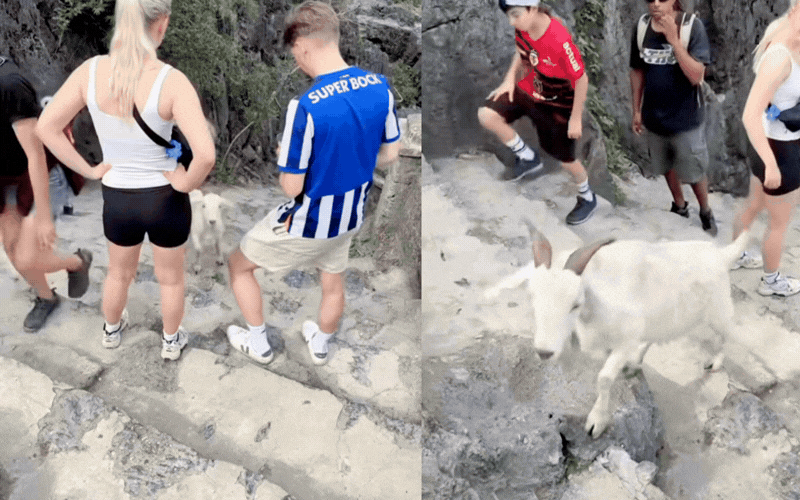 Trải nghiệm độc đ&aacute;o tại Hang M&uacute;a: Gặp gỡ đại sứ du lịch đ&aacute;ng y&ecirc;u 2026 - Ảnh 3.