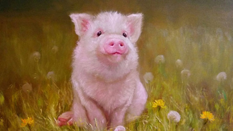 5 năm tới: 3 con gi&aacute;p c&oacute; cơ hội bứt ph&aacute; t&agrave;i ch&iacute;nh, thu nhập mở rộng từ nhiều nguồn - Ảnh 1.