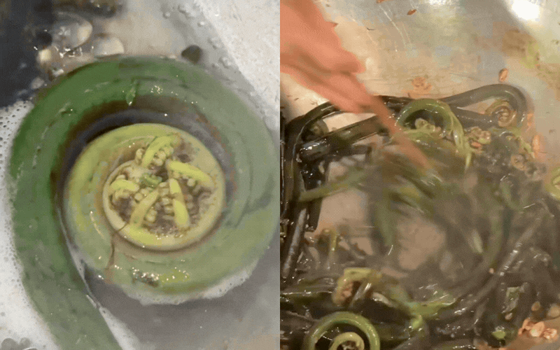 Thức quà mộc mạc chốn thâm sơn bỗng 