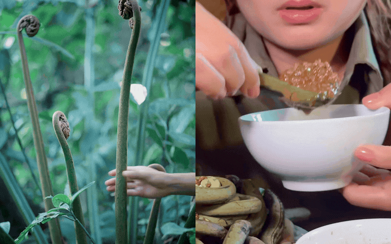 Thức quà mộc mạc chốn thâm sơn bỗng 