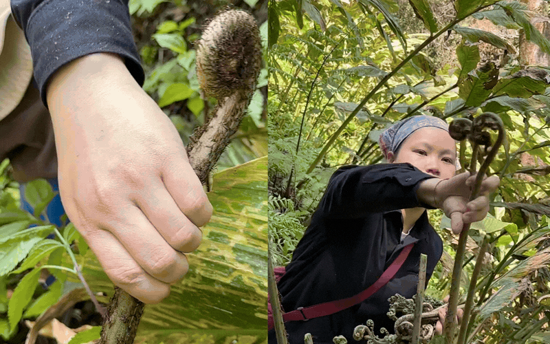 Thức quà mộc mạc chốn thâm sơn bỗng 