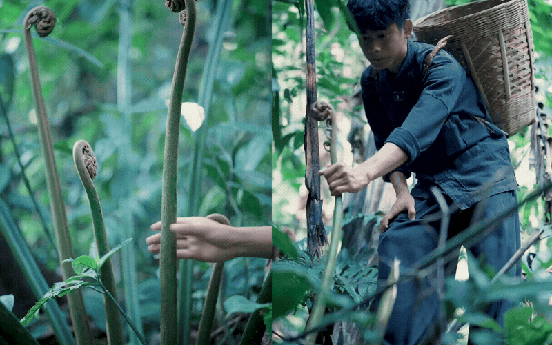 Thức quà mộc mạc chốn thâm sơn bỗng 