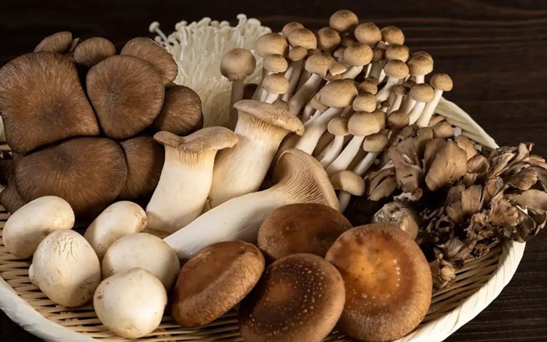 Dưa chuột - loại quả “rẻ bèo” ngoài chợ: Ăn đúng cách giúp kiểm soát đường huyết - Ảnh 2.