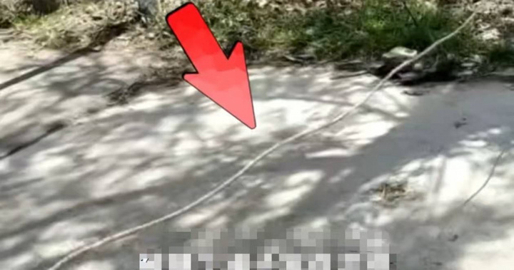 Cậu b&eacute; 13 tuổi ở H&agrave; Nam bị siết cổ nguy kịch khi đạp xe vướng d&acirc;y thừng - Ảnh 1.