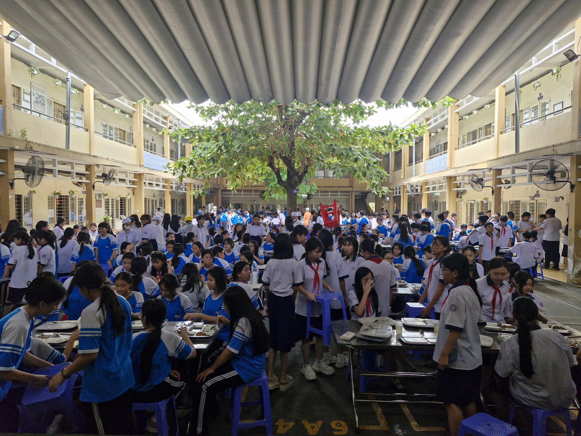 Kết luận của UBND TPHCM về vụ việc nghi ngờ ngộ độc thực phẩm  - Ảnh 1.