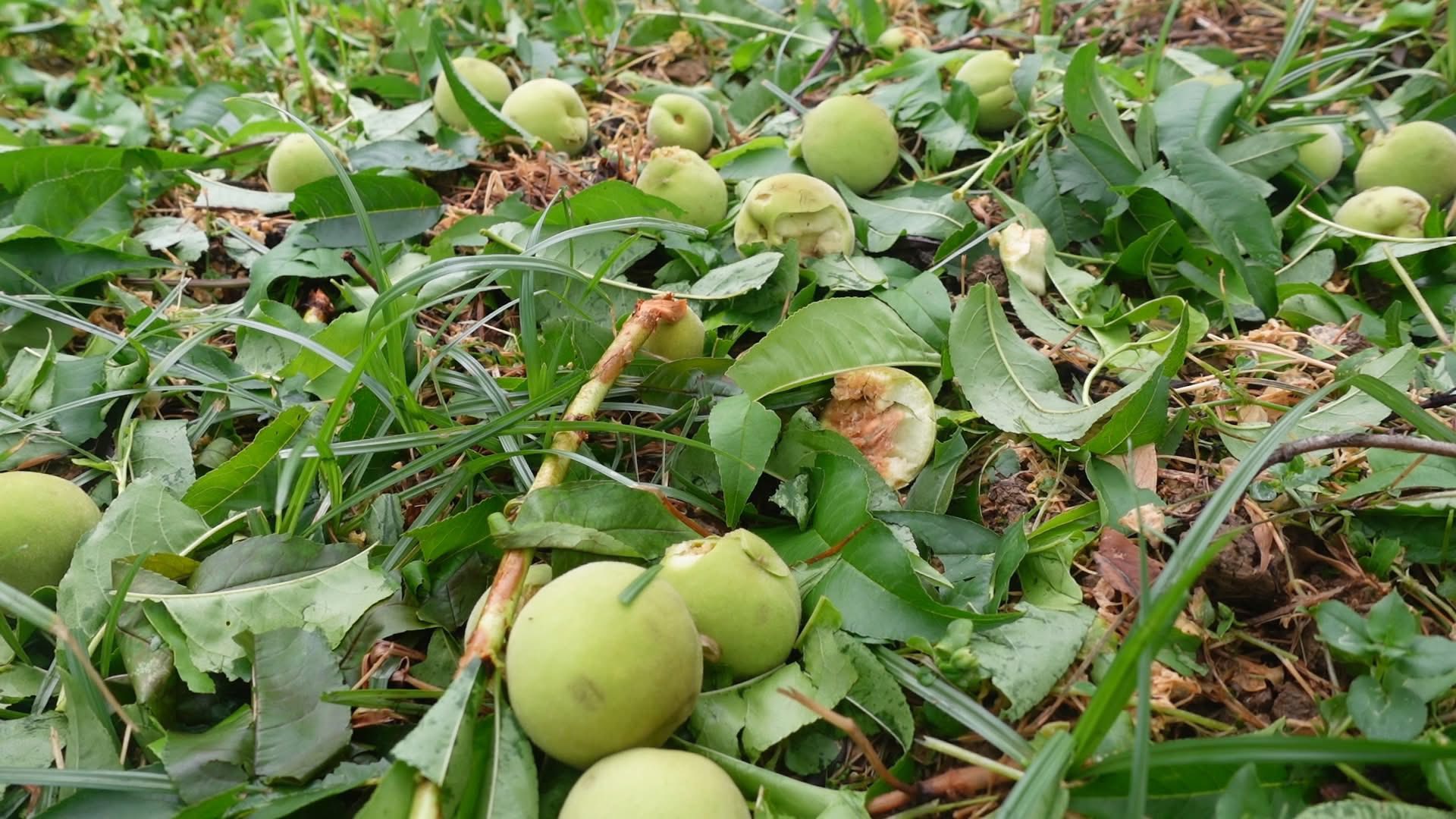 VIDEO: Đang nằm ngủ, hứng mưa đ&aacute; bằng nắm tay, 4 c&ocirc;ng nh&acirc;n bị thương - Ảnh 9.