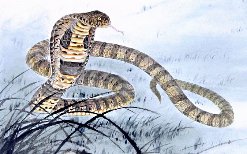 Từ th&aacute;ng 5 đến th&aacute;ng 7/2026: 3 con gi&aacute;p c&oacute; t&iacute;n hiệu t&agrave;i lộc t&iacute;ch cực, cơ hội tăng thu nhập r&otilde; rệt - Ảnh 2.