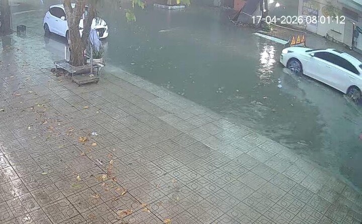 Th&aacute;i Nguy&ecirc;n: C&acirc;y bật gốc trong mưa lớn khiến người phụ nữ b&aacute;n x&ocirc;i tử vong - Ảnh 3.